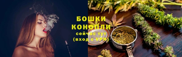 молекула духа Богородицк