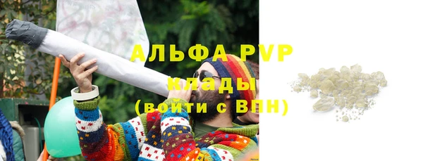 молекула духа Богородицк