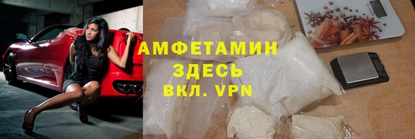 шишки Аркадак