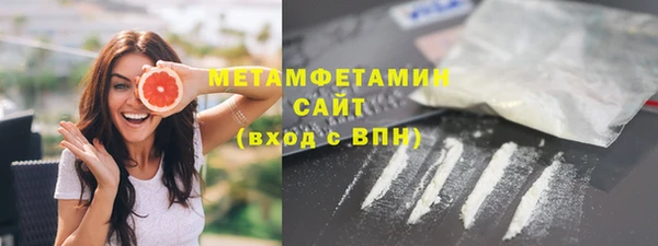шишки Аркадак