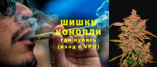 молекула духа Богородицк