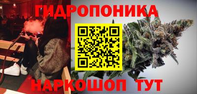 каннабис Ачхой-Мартан